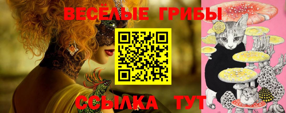 Псилоцибиновые грибы мицелий  Вход с VPN  Курчатов 