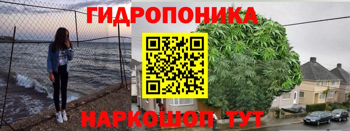 Каннабис THC 21%  Вход с VPN  Курчатов  Канабис OG Kush  Каннабис White Widow 